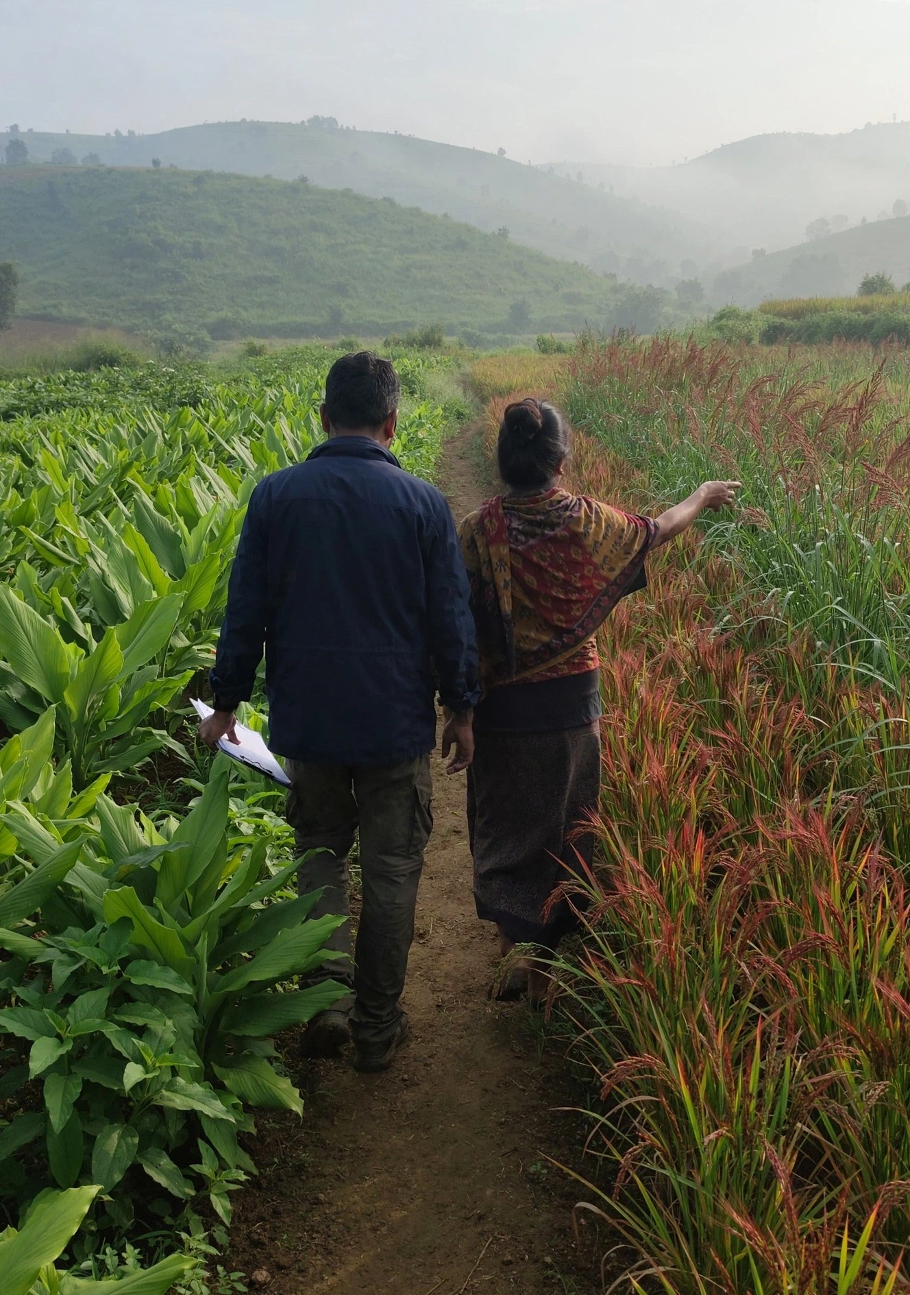 Farm liaison walking through crops with a farming woman